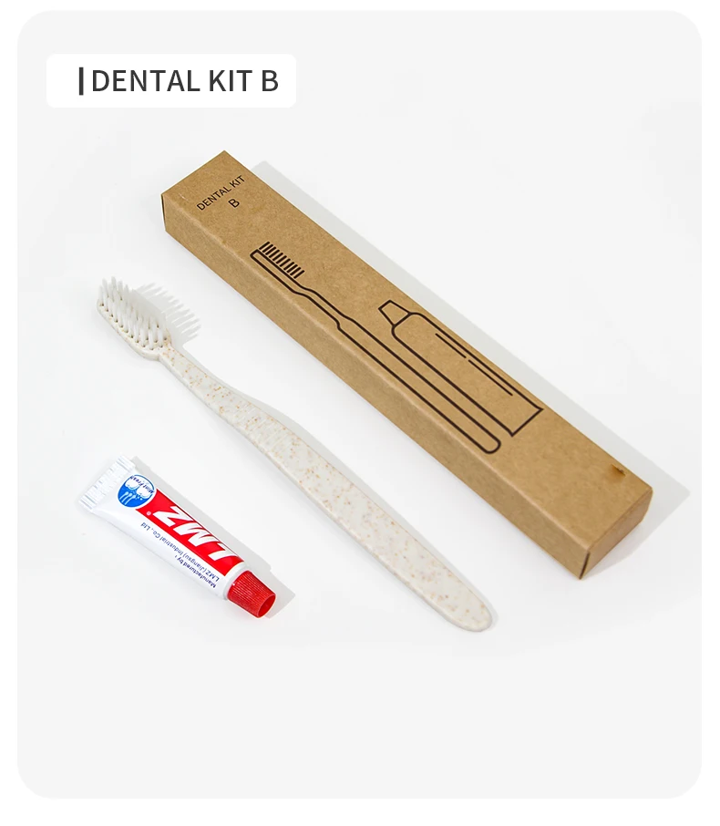 Kit dentaire de luxe écologique pour soins bucco-dentaires, brosse à dents jetable pour hôtel à poils souples Dupont avec logo personnalisé, kit dentaire jetable